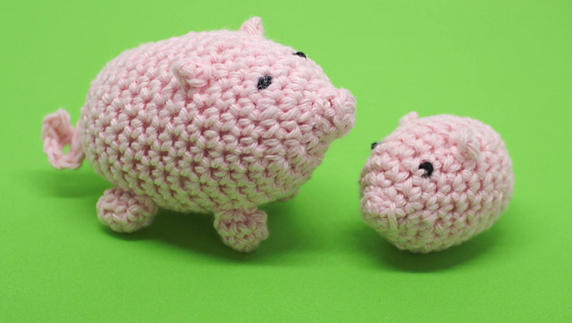 Mini Pigs