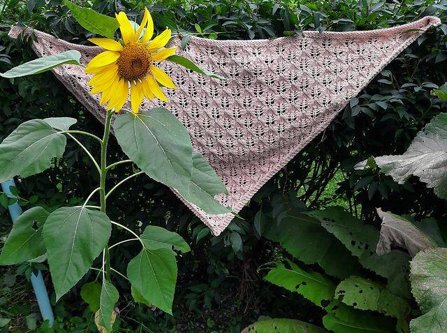 Belfast Shawl