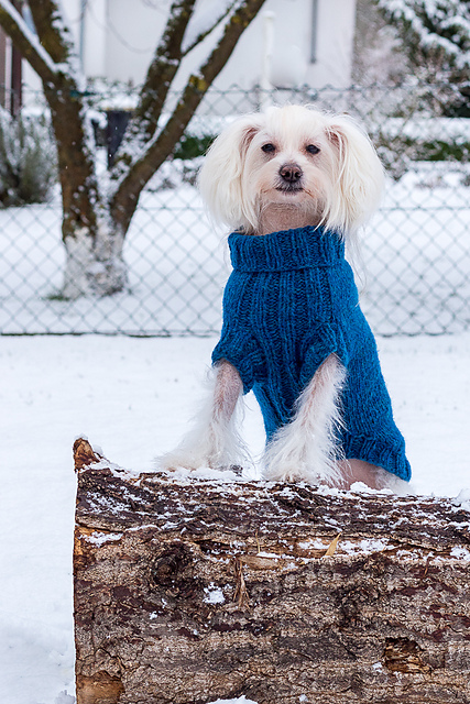 Aijos Basic Sweater