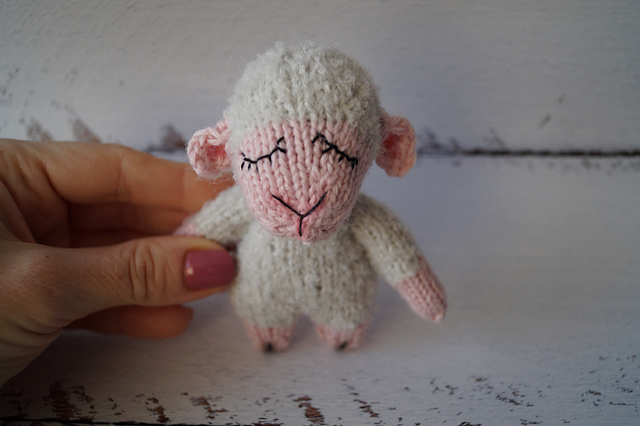 Small sheep (lamb)