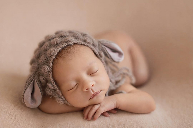 Lamb (sheep) newborn bonnet