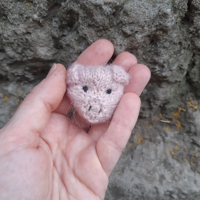 Small pig