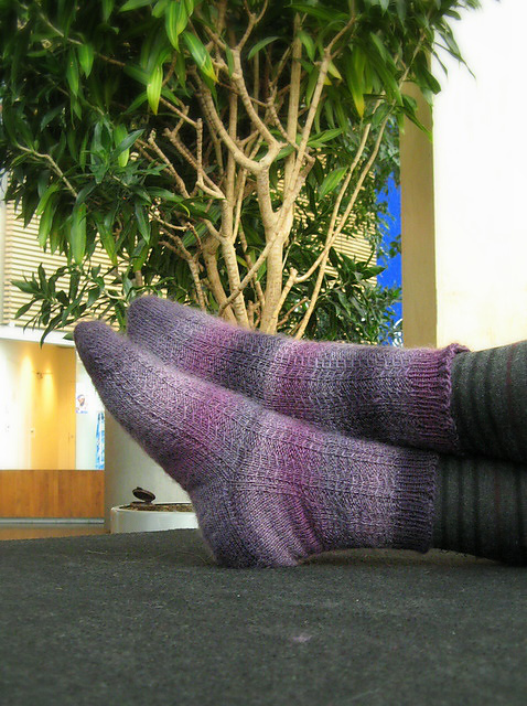 Dragonfly Rib Socks