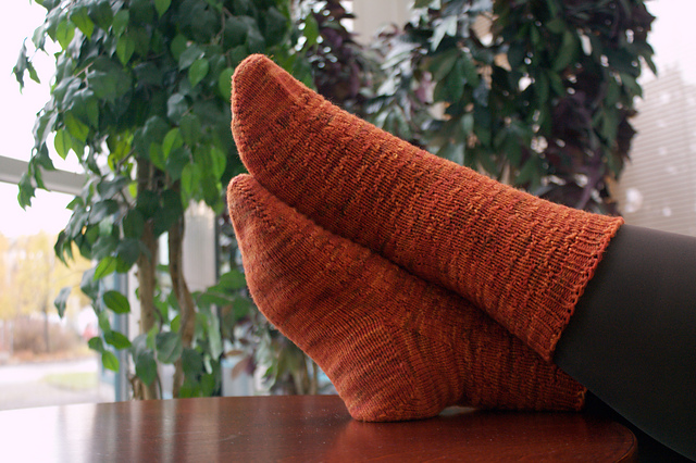 Winged Migration Socks