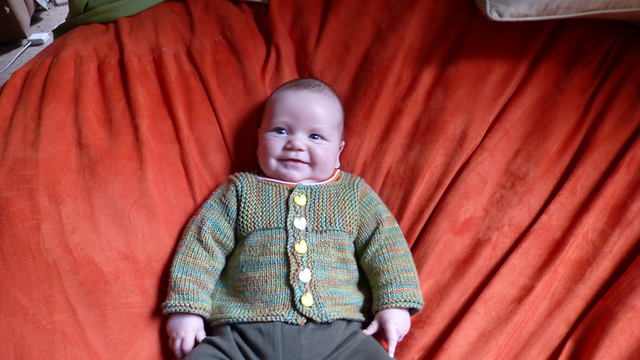 Muddy Duck Pond Cardigan