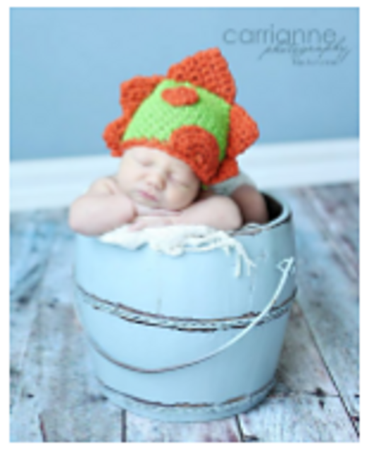 Dinosaur Hat
