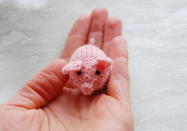 very small pig pair