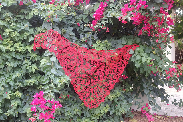 Lila berry 2.0