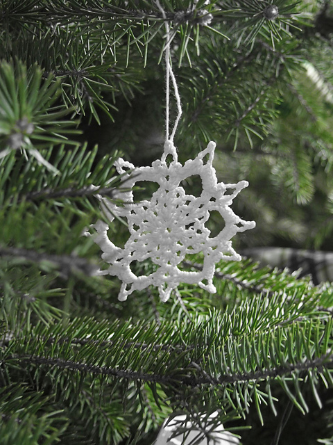 Snowflake #19