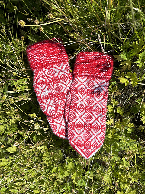 Ylja mittens/ vettlingar