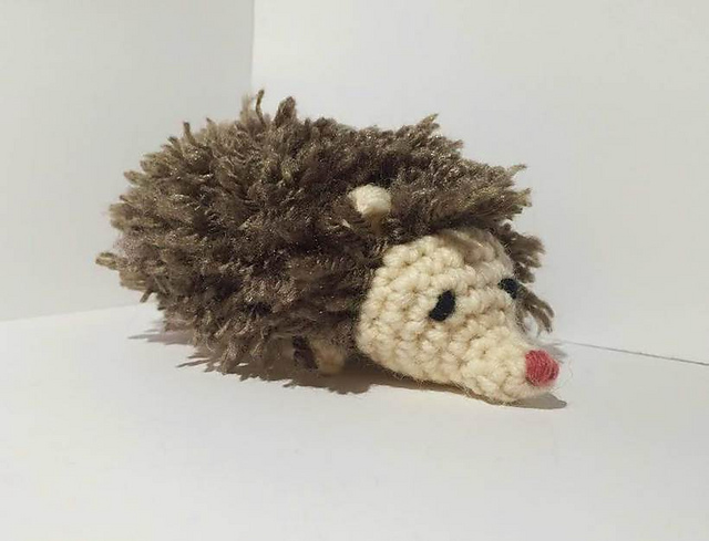 Hadley the Hedgehog