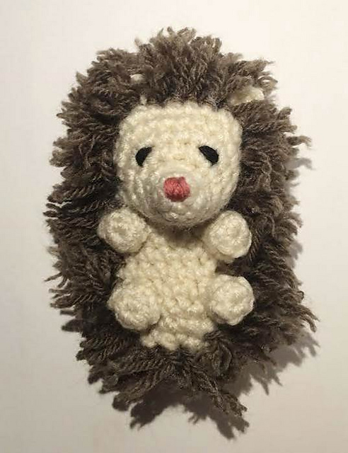 Clover the Baby Hedgehog
