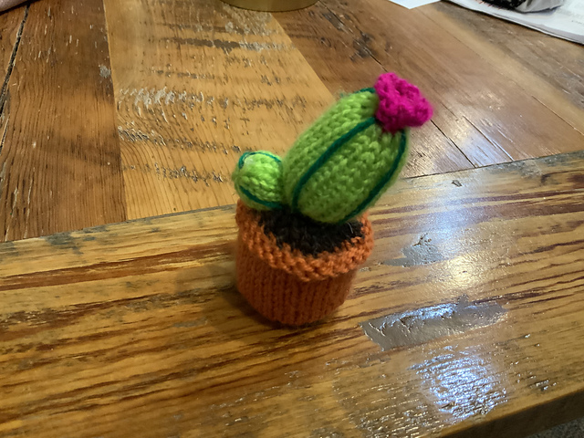 DIY cactus amigurmi