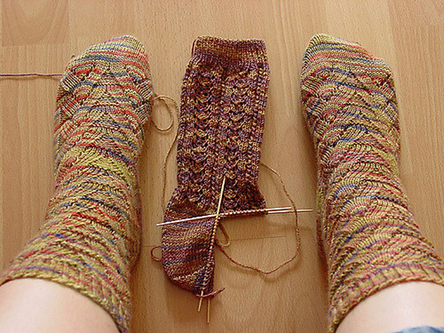 Horseshoe Crab Socks