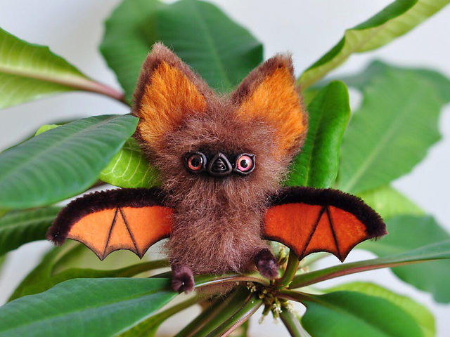 Halloween bat.