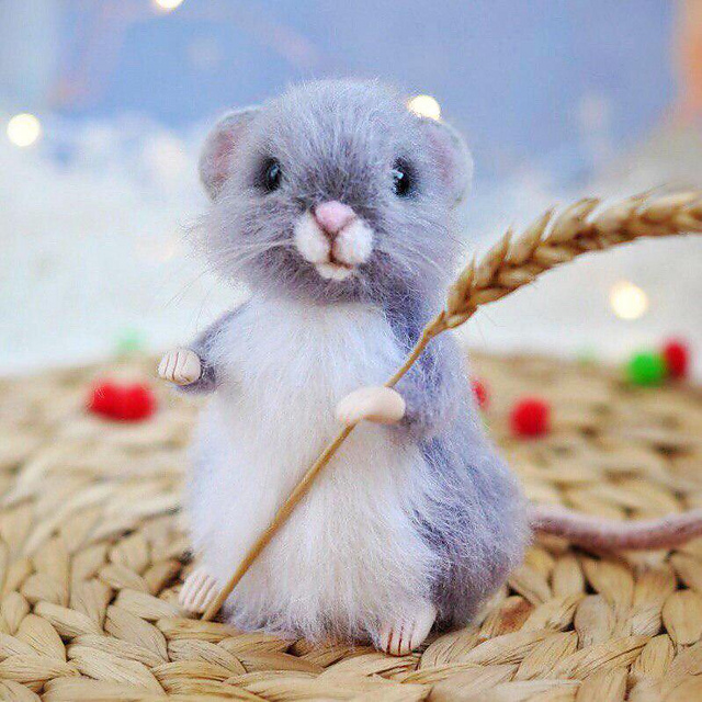 Little Mouse.