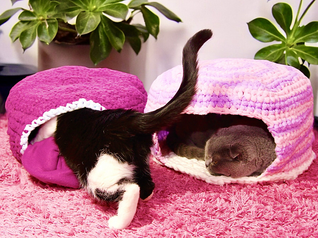 Cat or Dog Cave