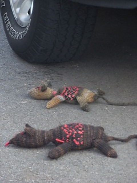 Roadkill