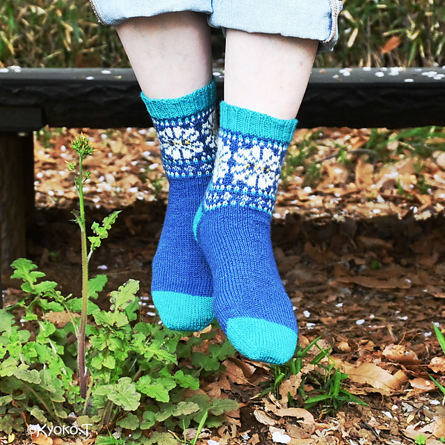 Earth Day Socks