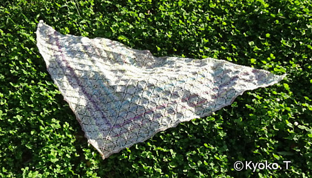 Leaf Lover's Shawl