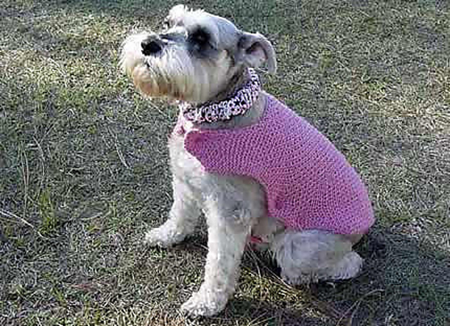 One-Piece Solid Dog Sweater