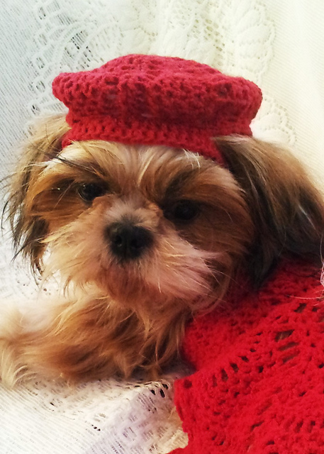 Red Pineapple Dog Hat