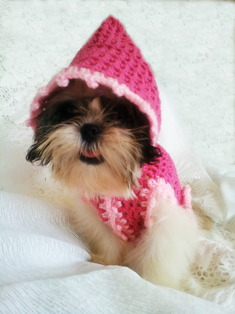 Raspberry Pink Dog Hoodie