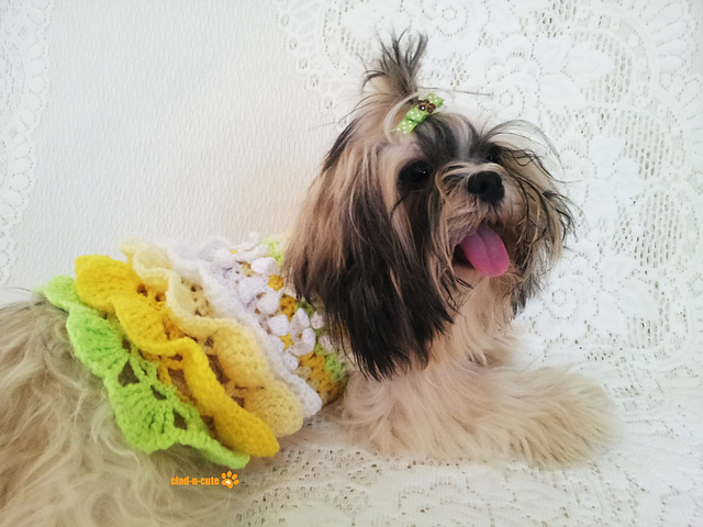 Lemonade Dog Dress