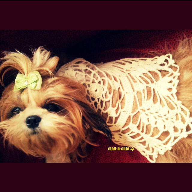 Boho Leaf Dog Dress