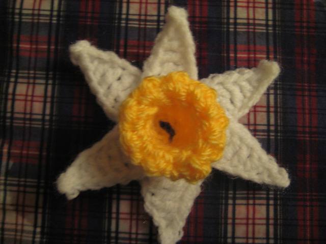 Daffodils