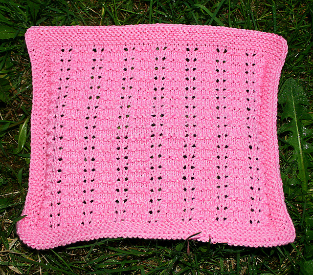 Ripley Dishcloth