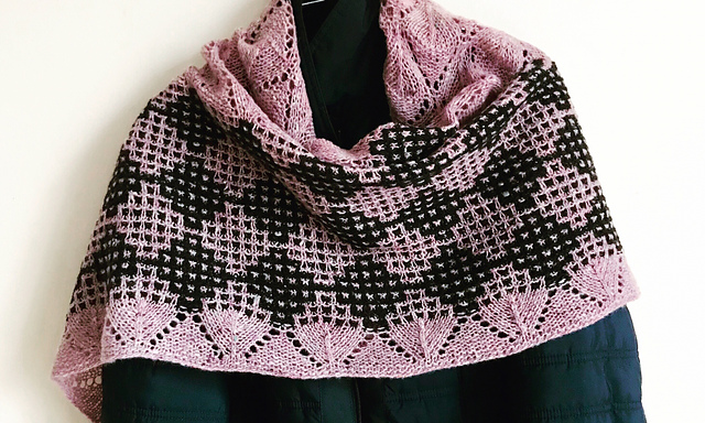 Shawl Blueberry dessert
