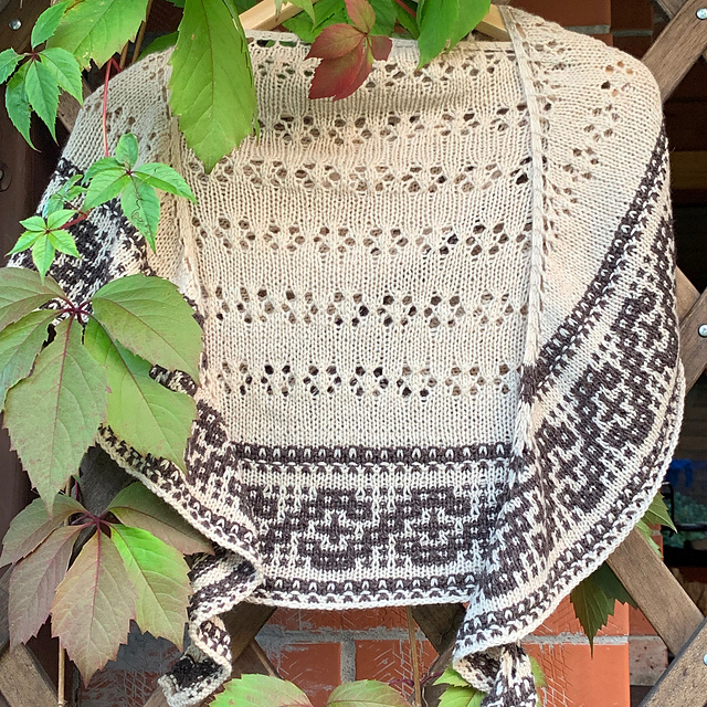 Shawl Bindweed