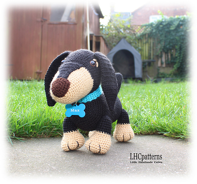 Dachshund Dog