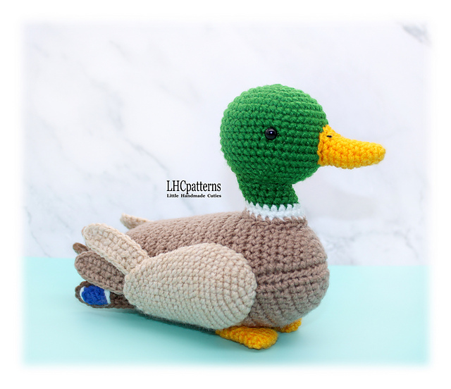 Mallard Duck