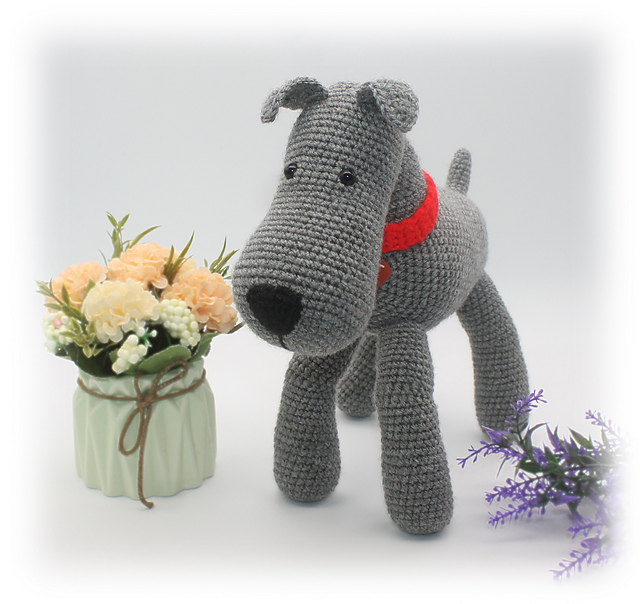 Terrier Dog