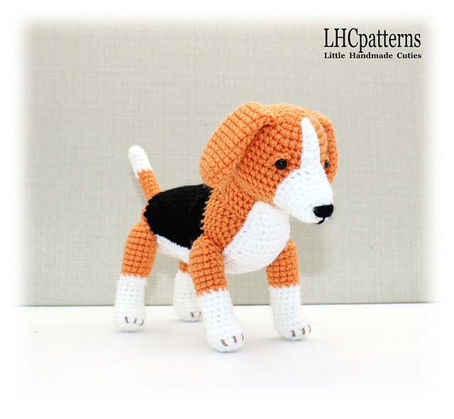 Beagle Dog