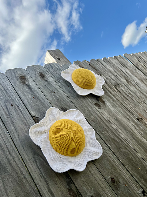 Fried Egg Wall Hanging