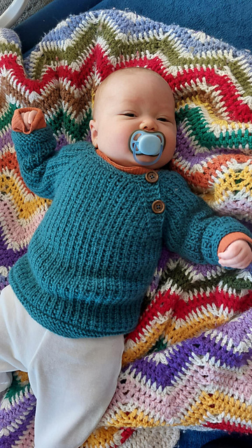 Riley Jumper (Sweater)