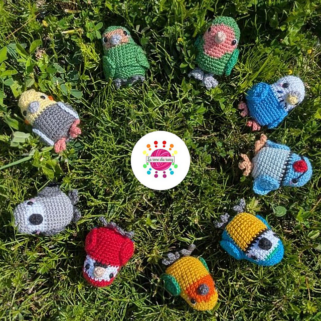 Pocket Parrots
