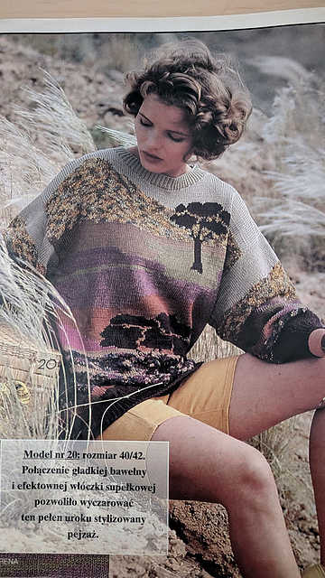 #20 Sweter z Krajobrazem