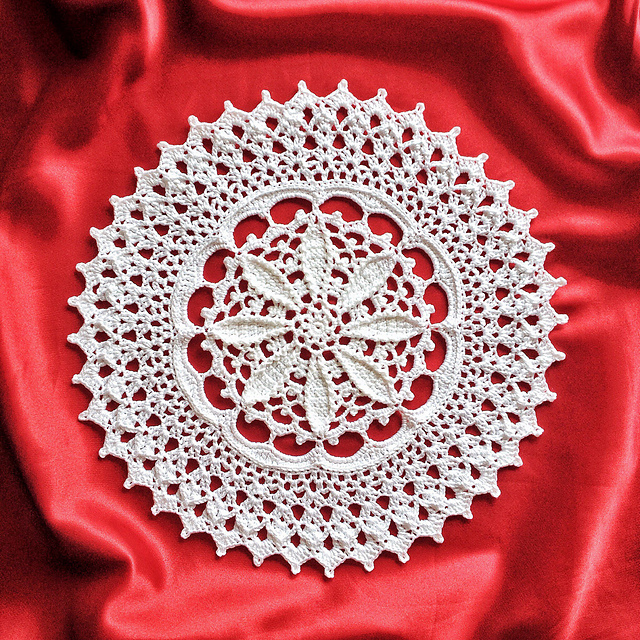 Doily Peace bloom