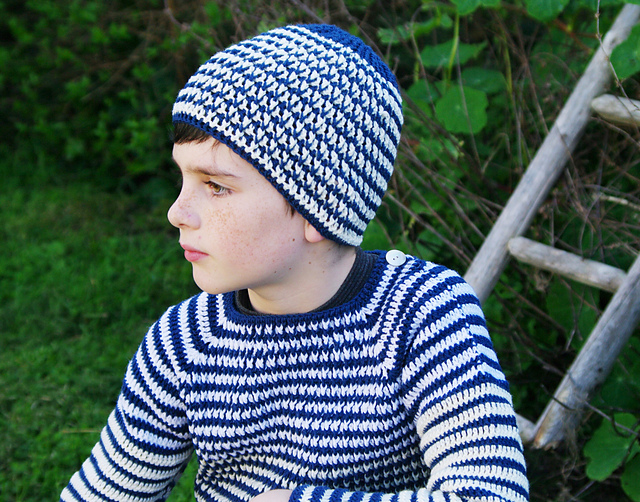 Jumper grand zèbre