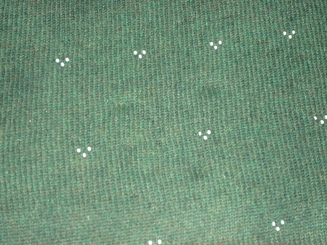 Enchanted Shawl