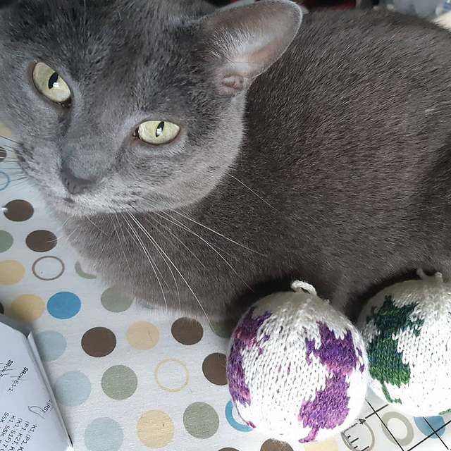 Pretty Kitty
