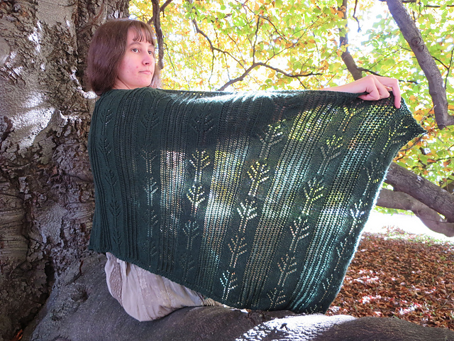 Threads of the Forest Shawl