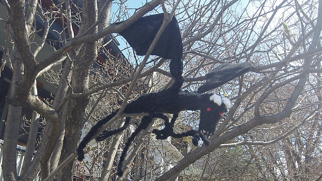 The Jersey Devil