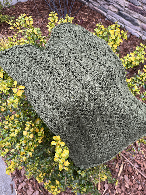 Anytime Cowl