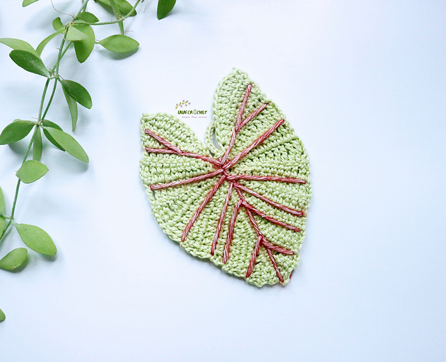 Caladium coaster