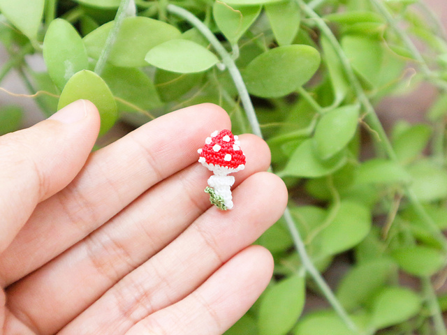 Tiny mushroom